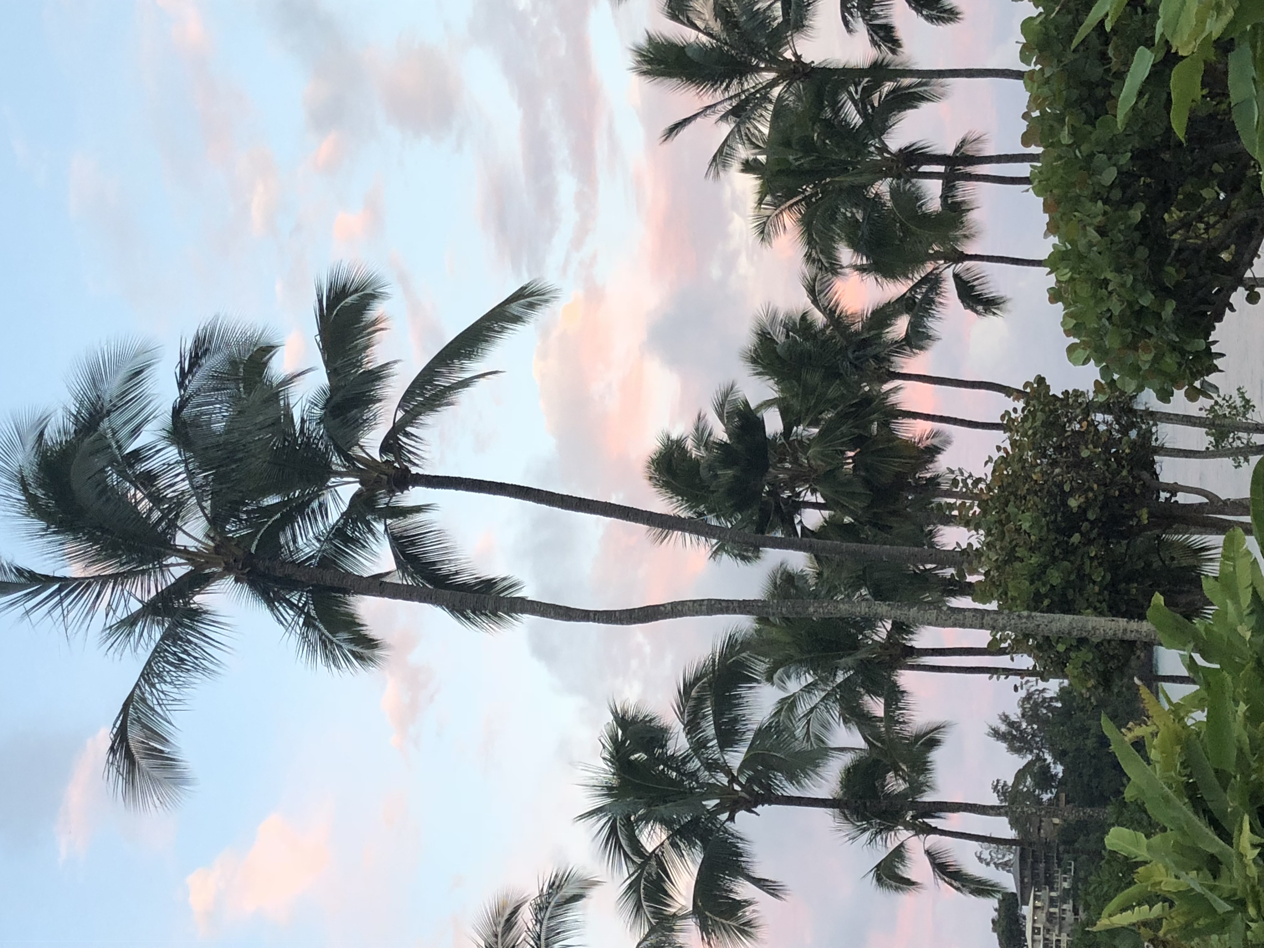 hawaii